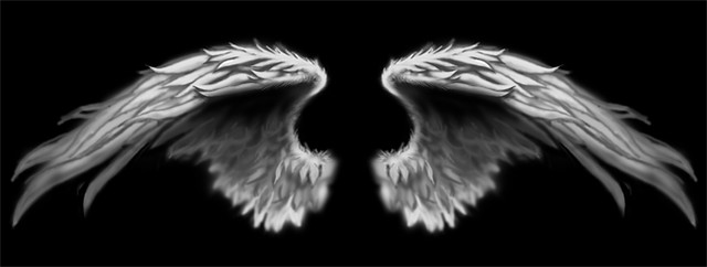 angel wings shown in the image...